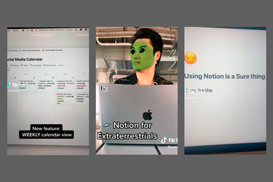Tiktok para empresas: Notion